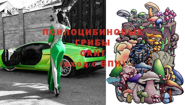 прущие крисы Абаза